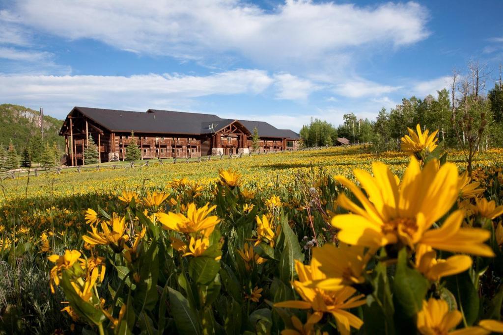 Daniels Summit Lodge Wallsburg Buitenkant foto
